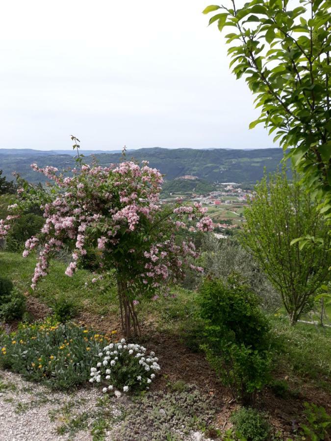 Apartment Finderli Buzet Exterior photo